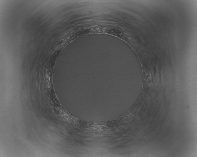 X0000080781013200701051322