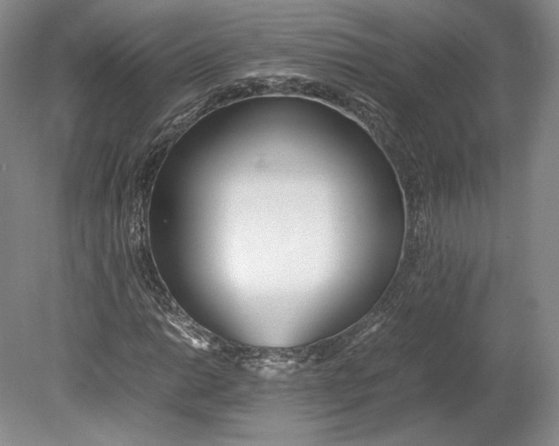 X0000080781014200701051322