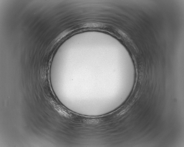 X0000080781017200701051322