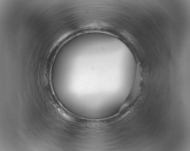 X0000080781018200701051322