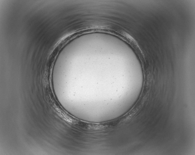X0000080781019200701051322