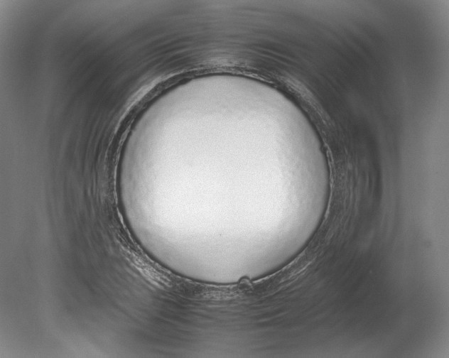 X0000080781023200701051322