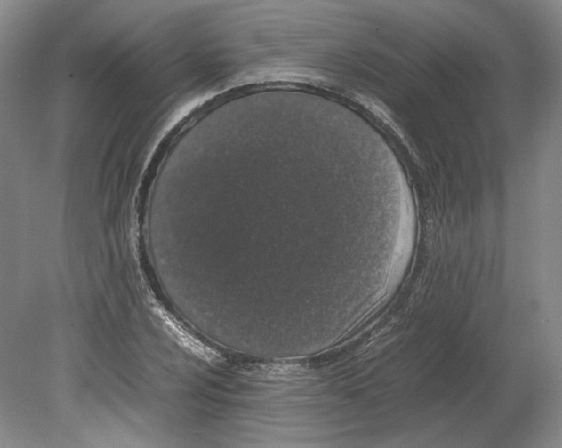 X0000080781024200701051322