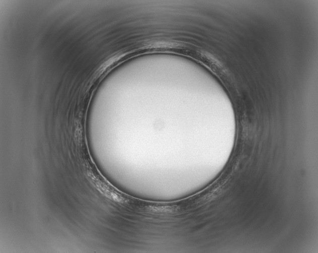 X0000080781025200701051322