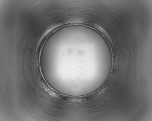 X0000080781027200701051322