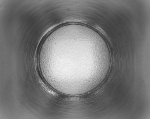 X0000080781028200701051322