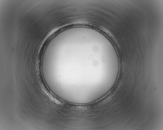 X0000080781029200701051322