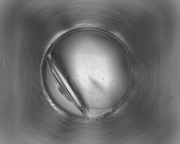 X0000080781030200701051322