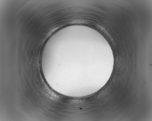 X0000080781033200701051322