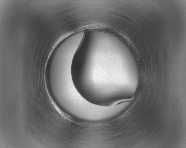 X0000080781034200701051322