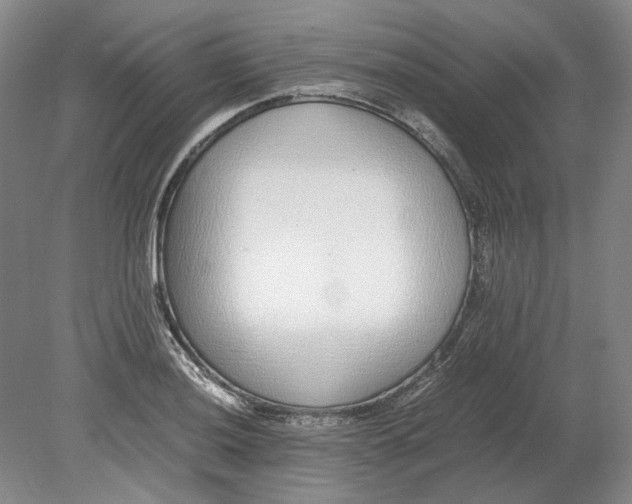 X0000080781036200701051322
