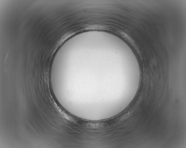 X0000080781041200701051322