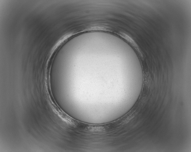 X0000080781043200701051322