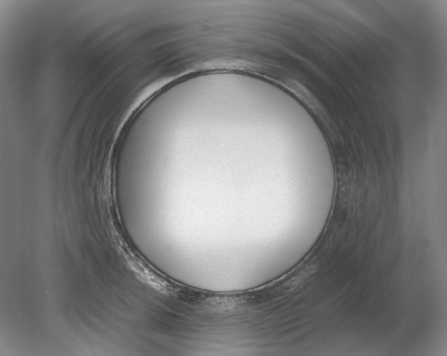 X0000080781044200701051322