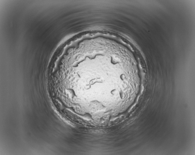 X0000080781045200701051322