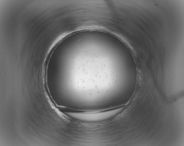 X0000080781046200701051322