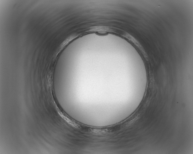 X0000080781049200701051322