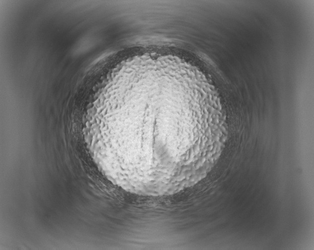 X0000080781063200701051322