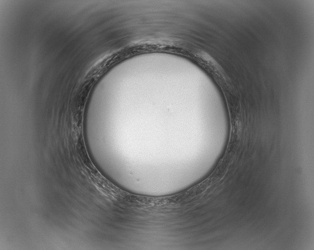 X0000080781064200701051322