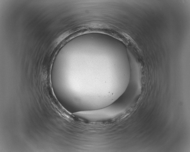 X0000080781065200701051322