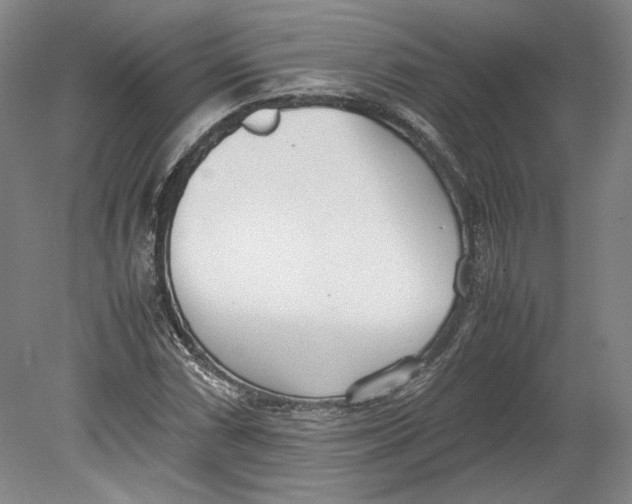 X0000080781066200701051322