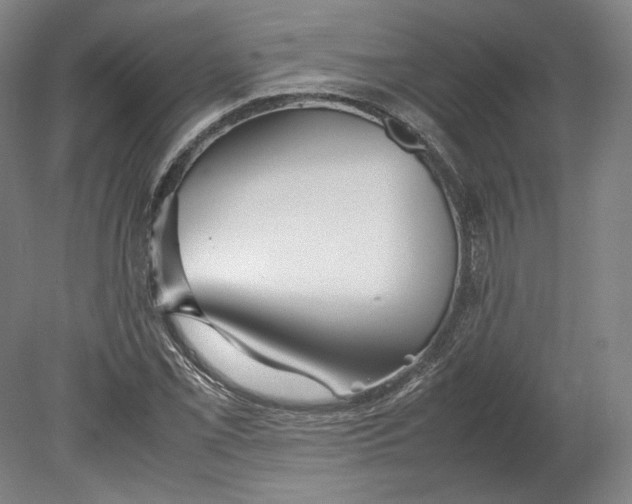X0000080781069200701051322