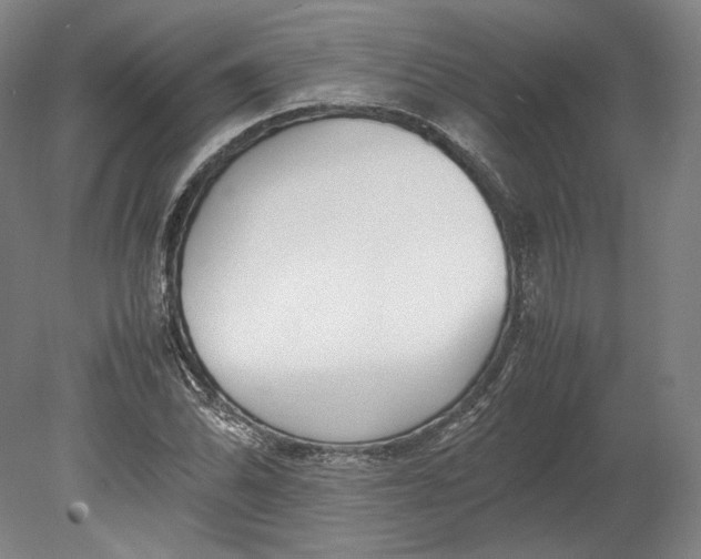 X0000080781070200701051322