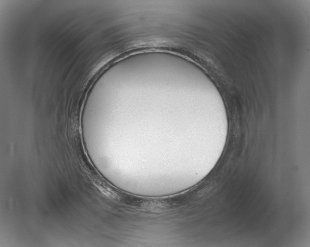 X0000080781073200701051321