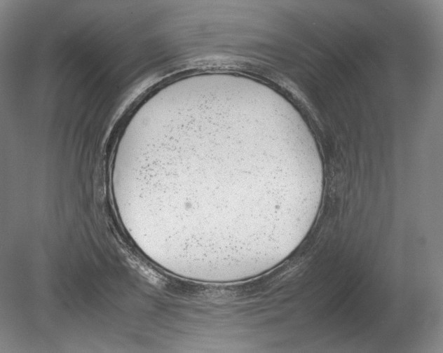 X0000080781075200701051321