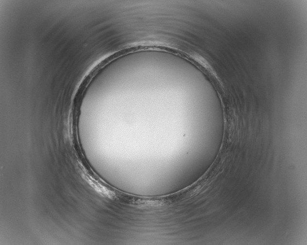 X0000080781076200701051321