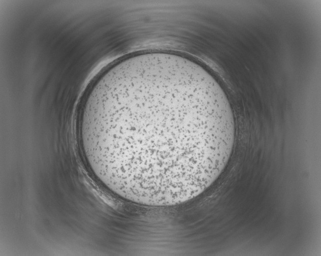 X0000080781078200701051321