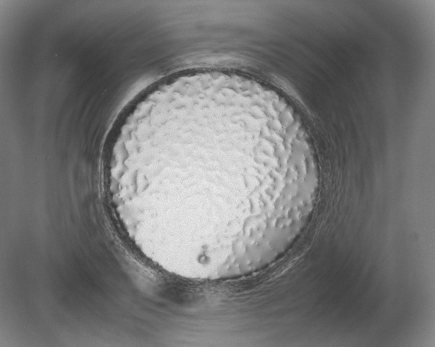 X0000080781079200701051321