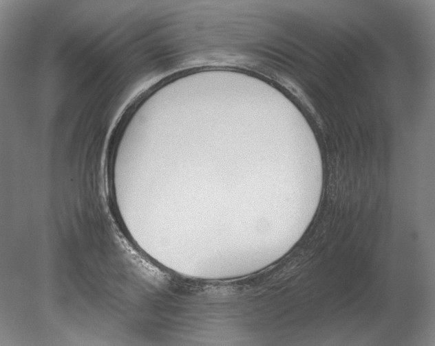 X0000080781080200701051321
