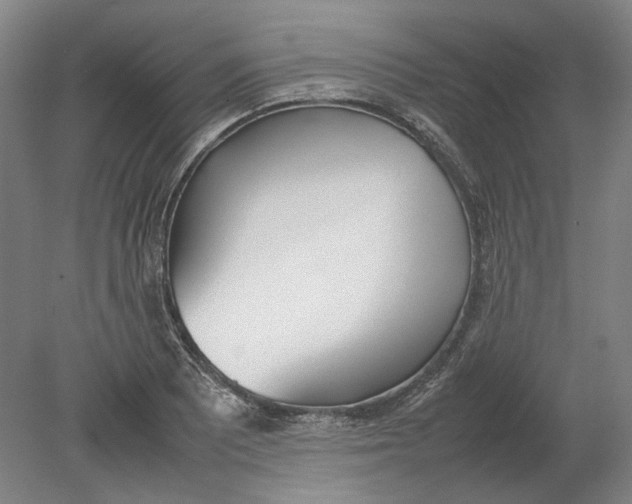 X0000080781081200701051321