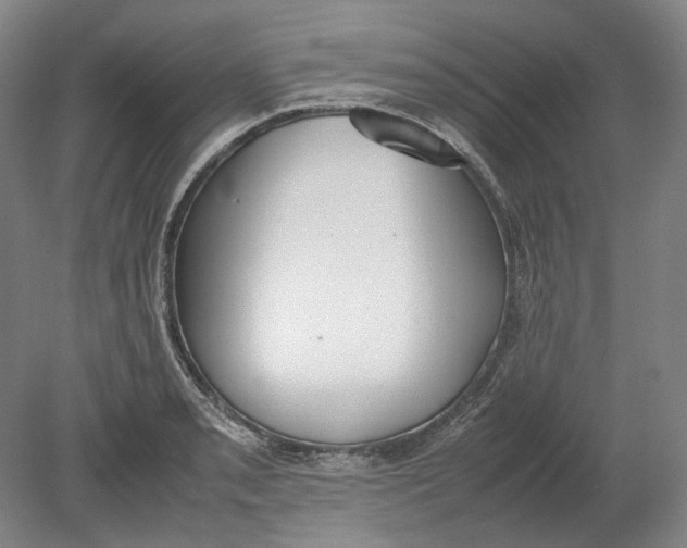 X0000080781085200701051321