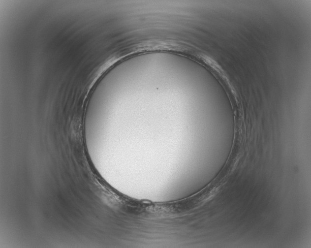 X0000080781089200701051321