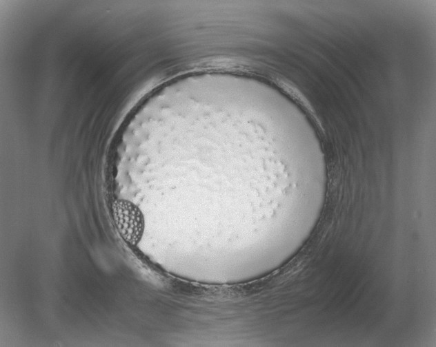 X0000080781091200701051321