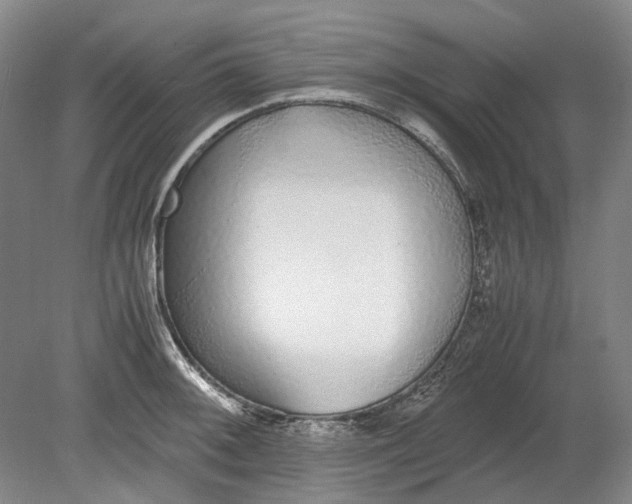 X0000080781092200701051321