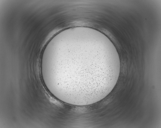 X0000080781094200701051321