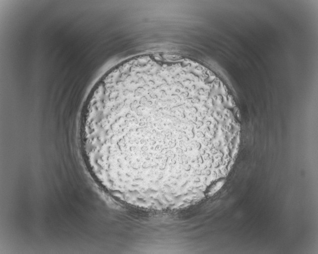 X0000080781099200701051321