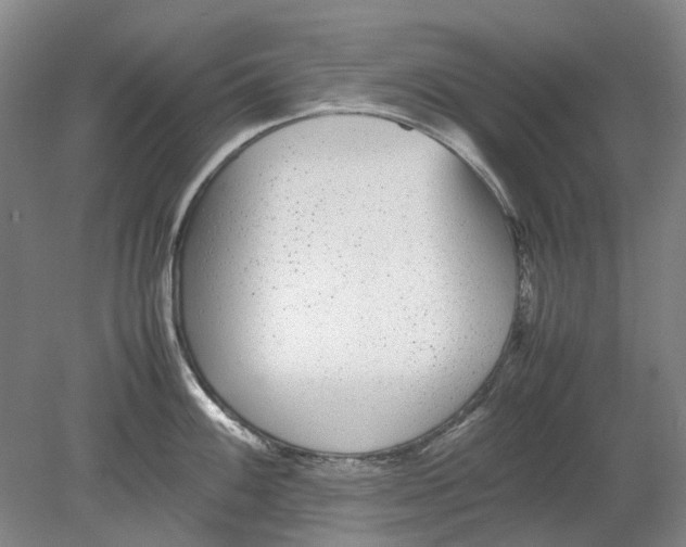 X0000080781100200701051321