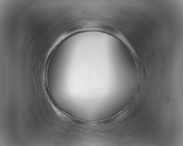 X0000080781101200701051321