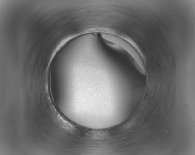 X0000080781102200701051321