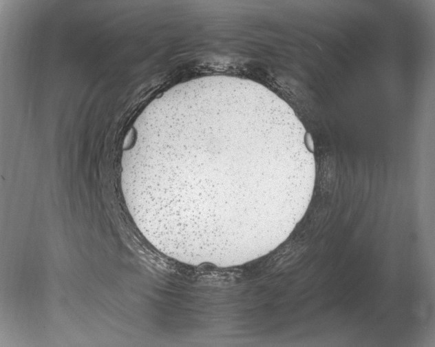 X0000080781105200701051320