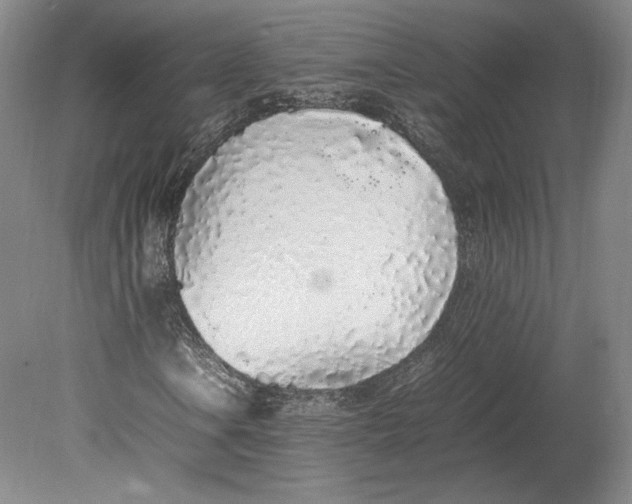 X0000080781106200701051320