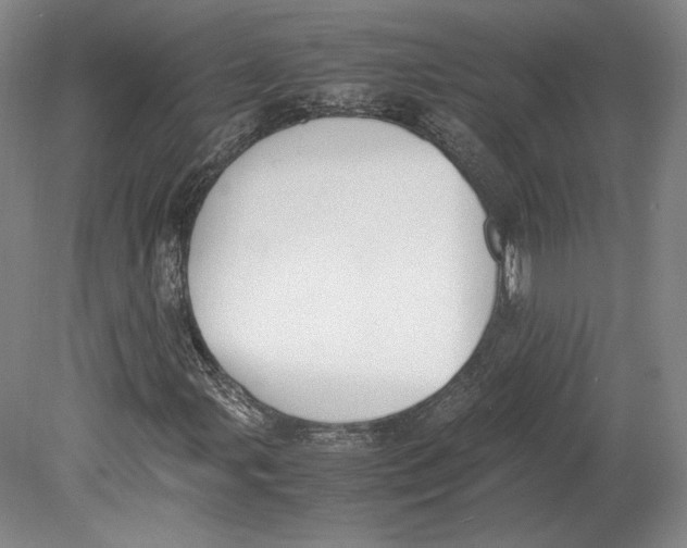 X0000080781107200701051320