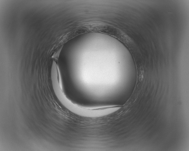 X0000080781108200701051320