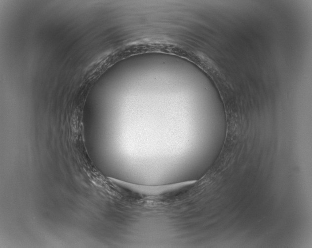 X0000080781110200701051320