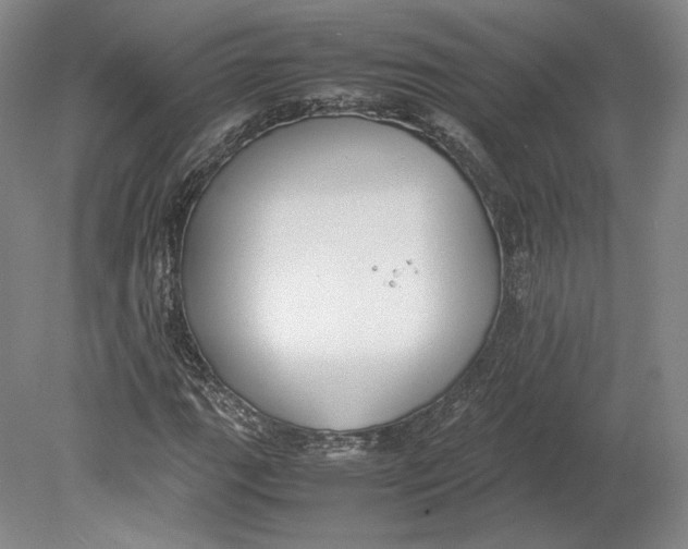 X0000080781111200701051320