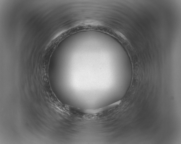 X0000080781112200701051320